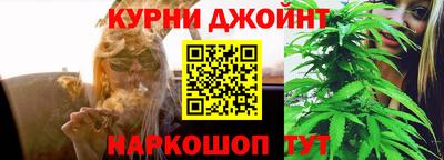 гашик Новодвинск