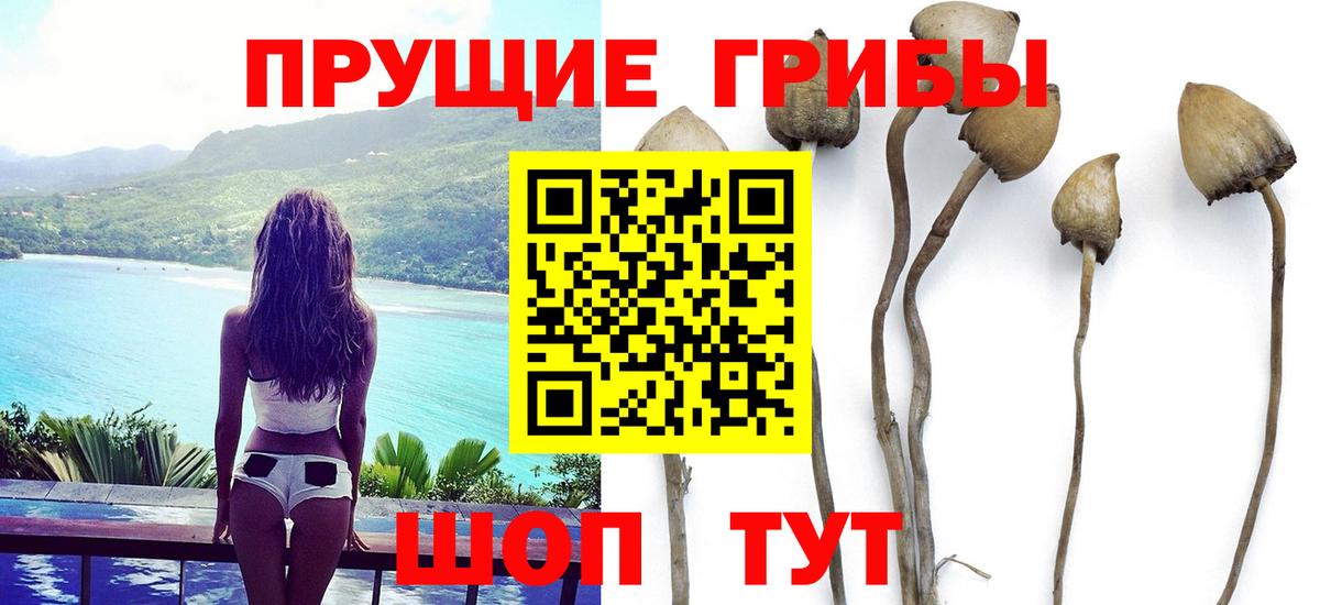 Галлюциногенные грибы мицелий Ухта
